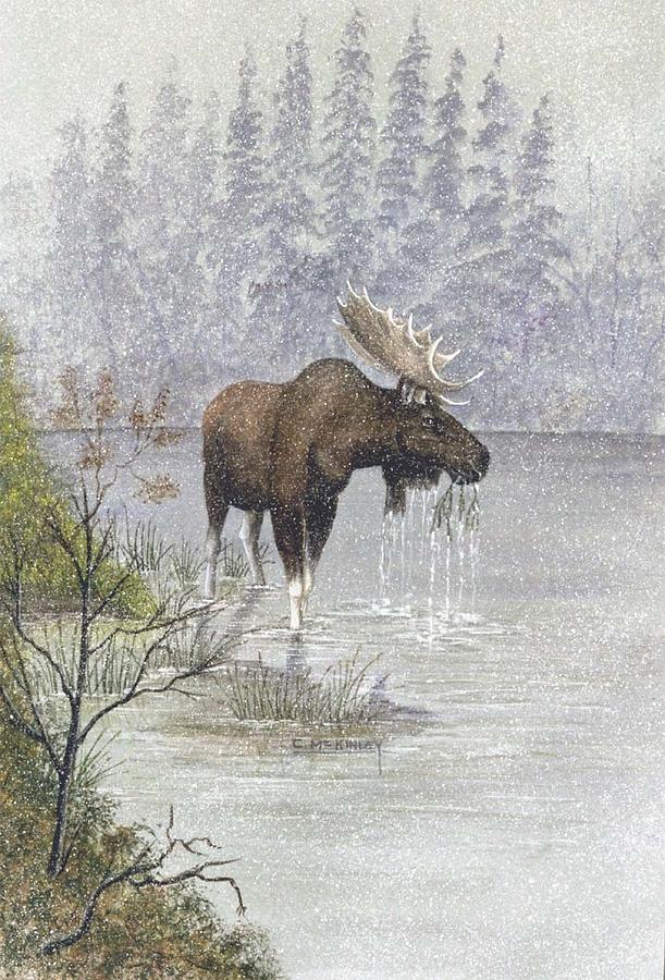 Moose In The Mist Painting by Carl McKinley