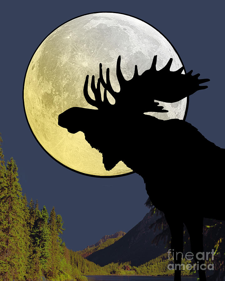 Moose Digital Art - Moose in the moonlight by Madame Memento