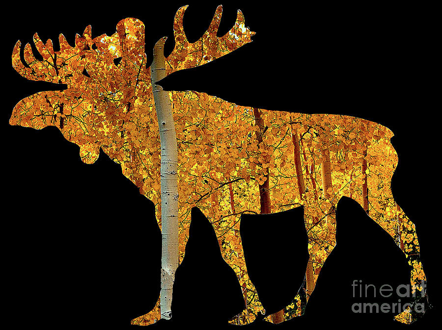 Moose Digital Art - Moose In Trees by Steven Parker