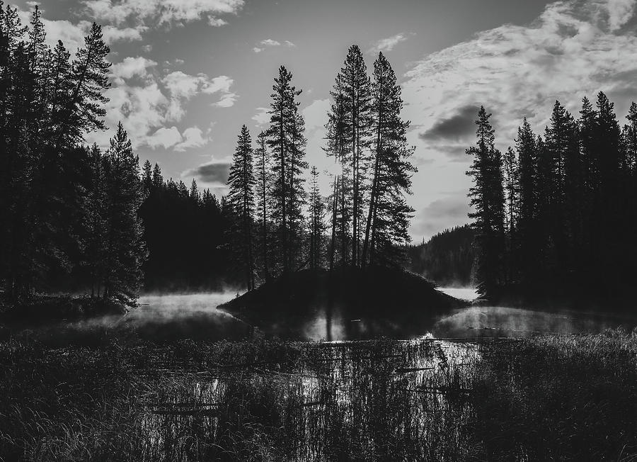 Moose Lake Sunrise Black And White Photograph by Dan Sproul