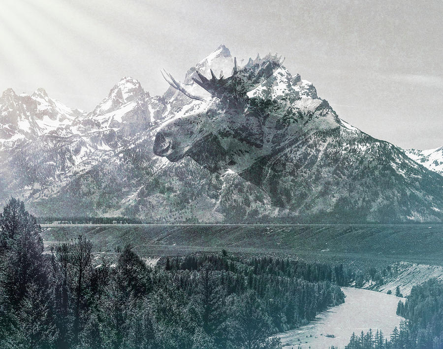 Moose On Snake River Overlook Tetons Mixed Media by Dan Sproul