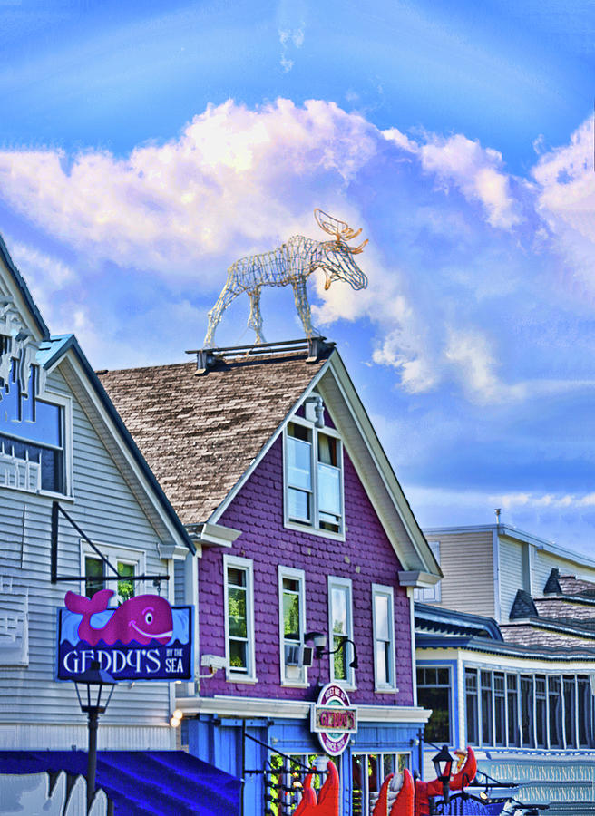 Moose On The Roof Photograph by Allen Beatty