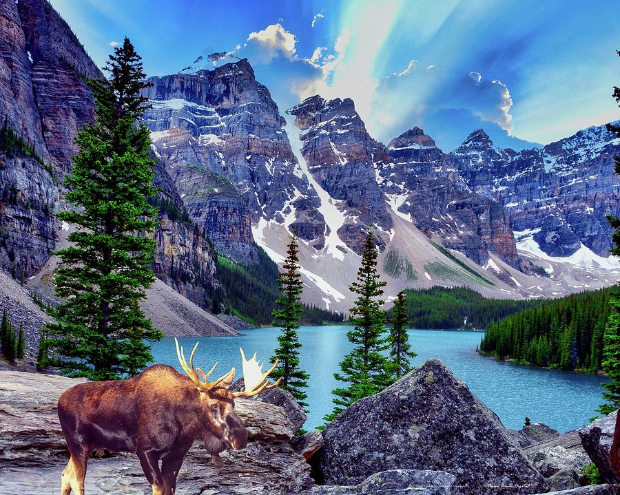  Moose Overlook Digital Art by Norman Brule
