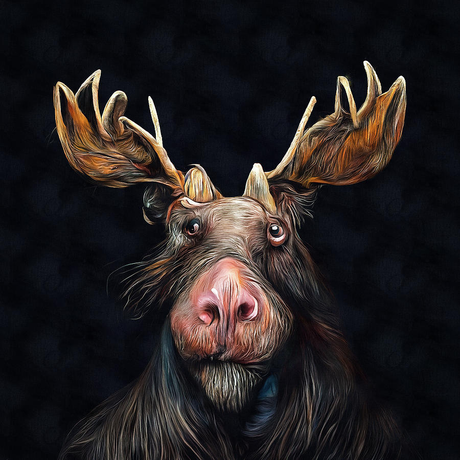 Moose Portrait 01 Black Background Painting by Matthias Hauser