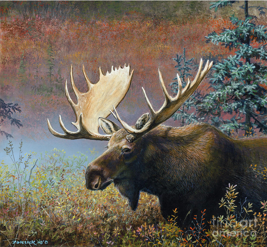 Moose Painting by Scott Zoellick