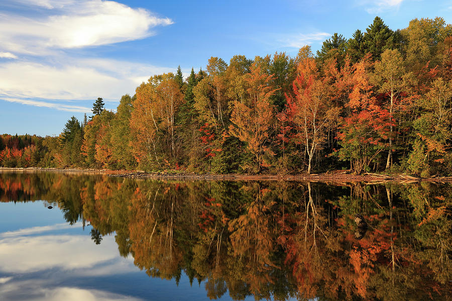 Moosehead Lake Fall Color Reflection Photograph by Dan Sproul