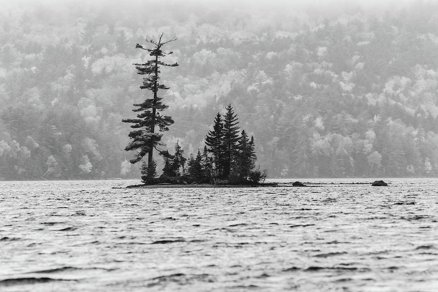 Moosehead Lake Island In Black And White Photograph by Dan Sproul
