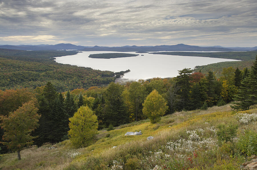 Mooselookmeguntic Lake Maine Photograph by Alan Majchrowicz