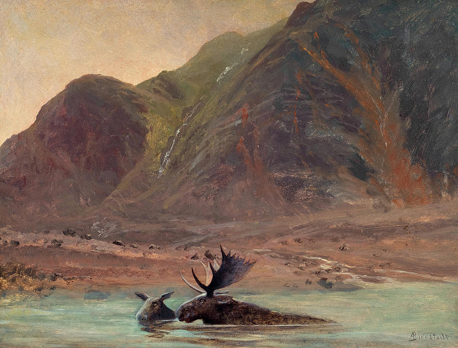 Mooses Painting by Albert Bierstadt - Fine Art America