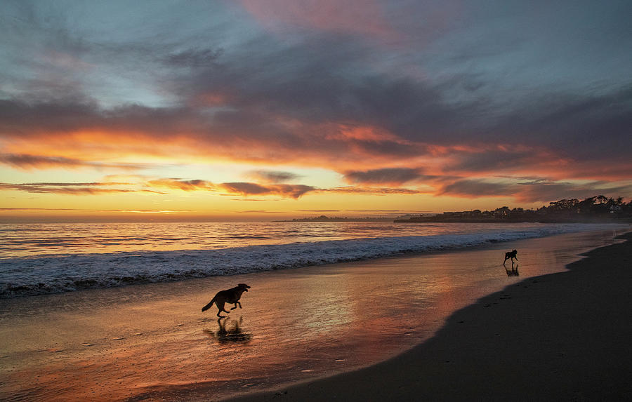 Moran Beach Sunset #1 Photograph by Carla Brennan