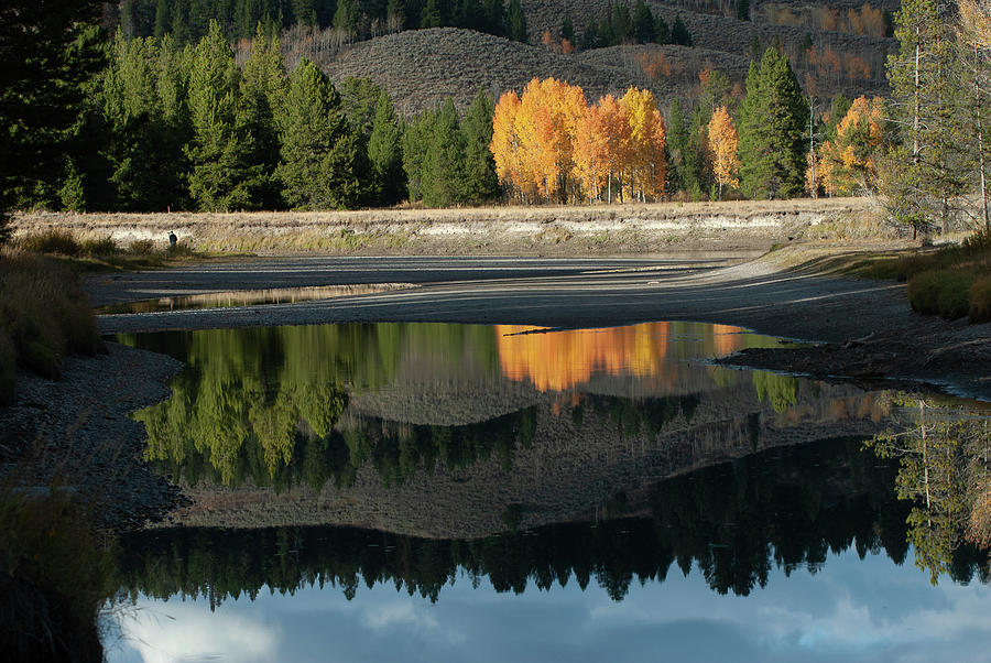 Moran Junction Reflection Photograph by LeRoy Michaelson - Fine Art America