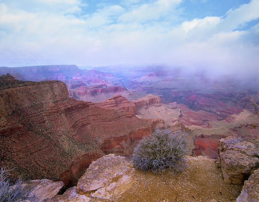 Grand Canyon National Park Photograph - Moran Point, South Rim, Grand Canyon National Park, Arizona by Tim Fitzharris