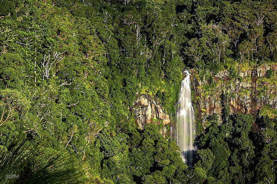 Morans Falls Lamington National Park Queensland Photograph By Tina M Counsell Fine Art America