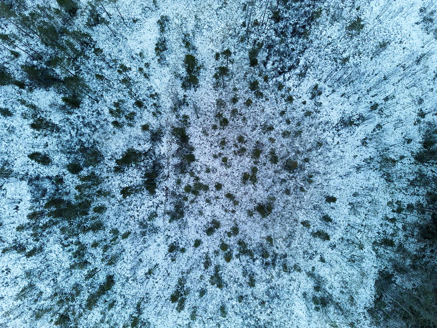 Morass winterview. Pitkajarvi Seitseminen Photograph by Jouko Lehto