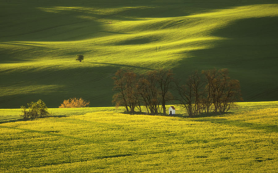 Moravian rolling fields II Photograph by Piotr Skrzypiec - Fine Art America