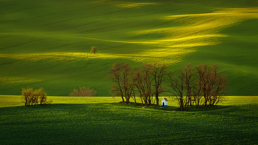 Moravian rolling fields Photograph by Piotr Skrzypiec