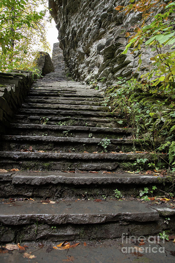 More Stairs at Watkins Glen Photograph by Jeannette Hunt