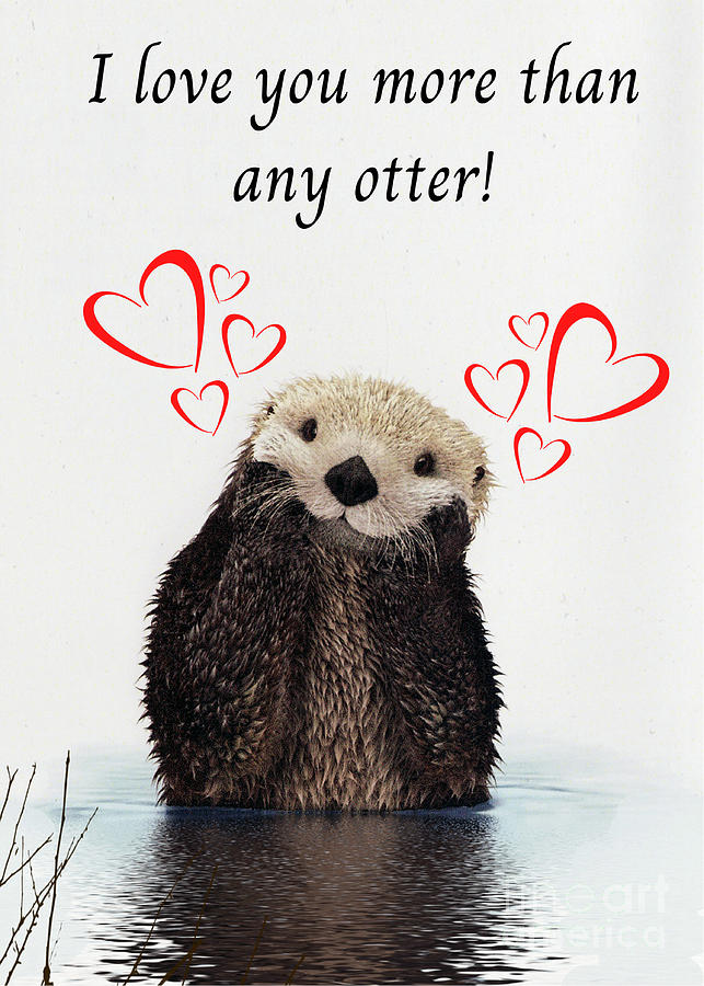 More Than Any Otter Digital Art by Tina Uihlein
