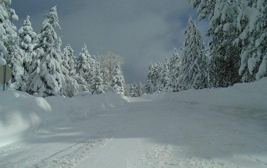 More Than Four Feet Of Snow Photograph by Caroline Haldeman - Fine Art ...