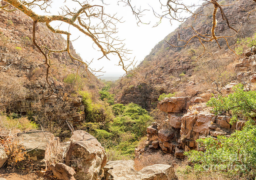 Moremi Gorge Botswana  Photograph by THP Creative
