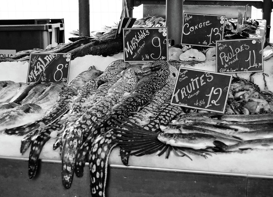 Morey Eel French Fish Market Nice France Black and White Photograph by Shawn OBrien