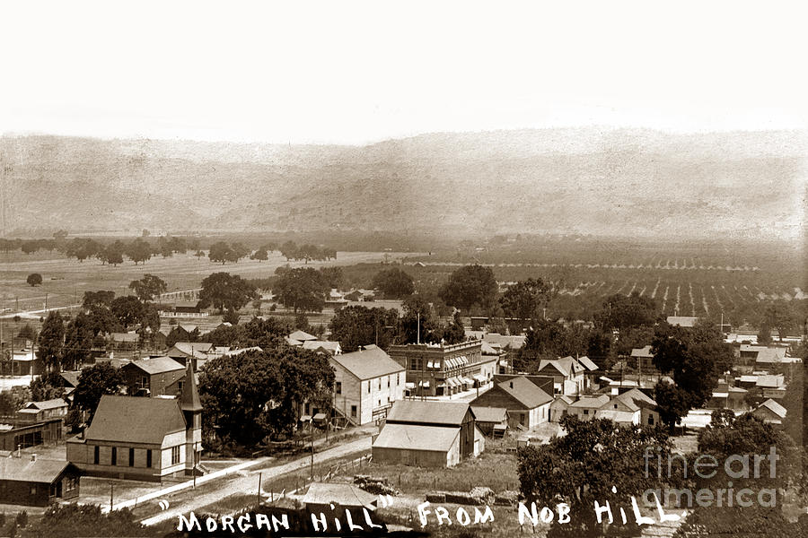 Morgan Hill Photograph - Morgan Hill from Nob Hill, Santa Clara Valley, Circa 1910 by Monterey County Historical Society