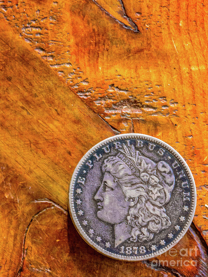 Morgan Silver Dollar On Wood Photograph