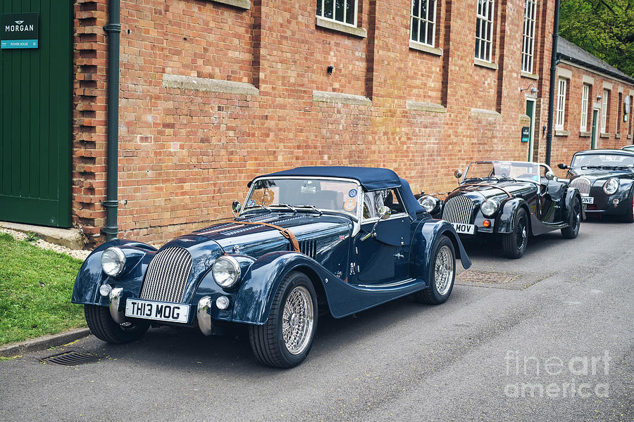 Morgans in Line Photograph by Tim Gainey
