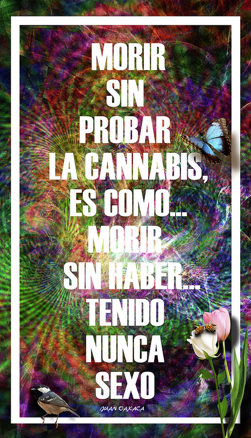 Morir Sin Probar La Cannabis Es Como... Digital Art by J U A N - O A X A C A
