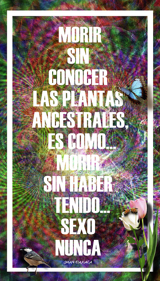 Morir Sin Probar Las Plantas Ancestrales Es Como... Digital Art by J U A N - O A X A C A