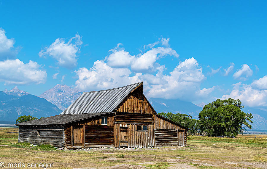 Mormon Barn, Wyoming Photograph by Moris Senegor