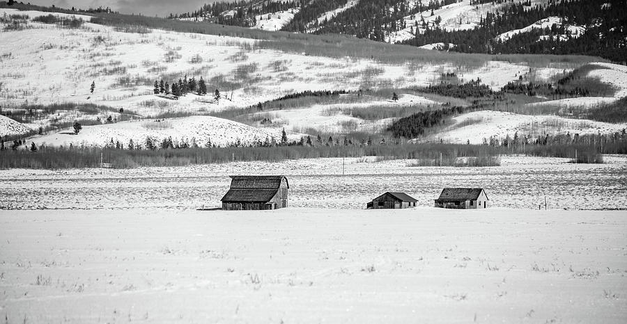 Mormon Row in Winter, Black and White Photograph by Marcy Wielfaert