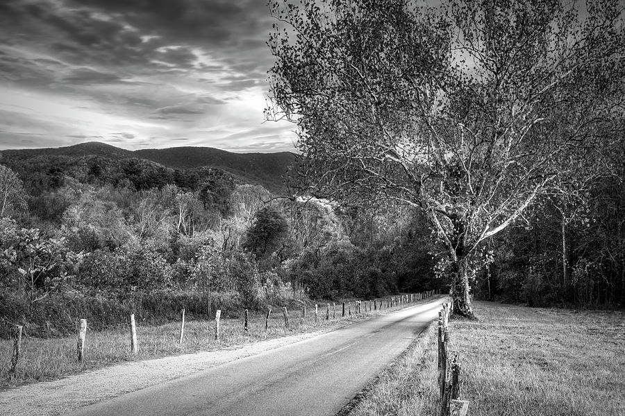 Morning Along Sparks Lane at Cades Cove Black and White Photograph by Debra and Dave Vanderlaan