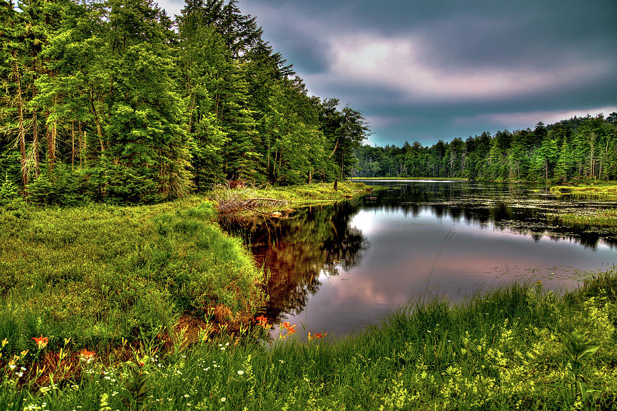 Morning at Fly Pond Photograph by David Patterson