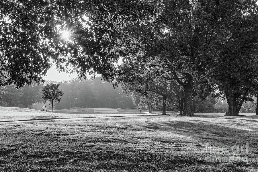 Morning At Fremont Hills Grayscale Photograph by Jennifer White