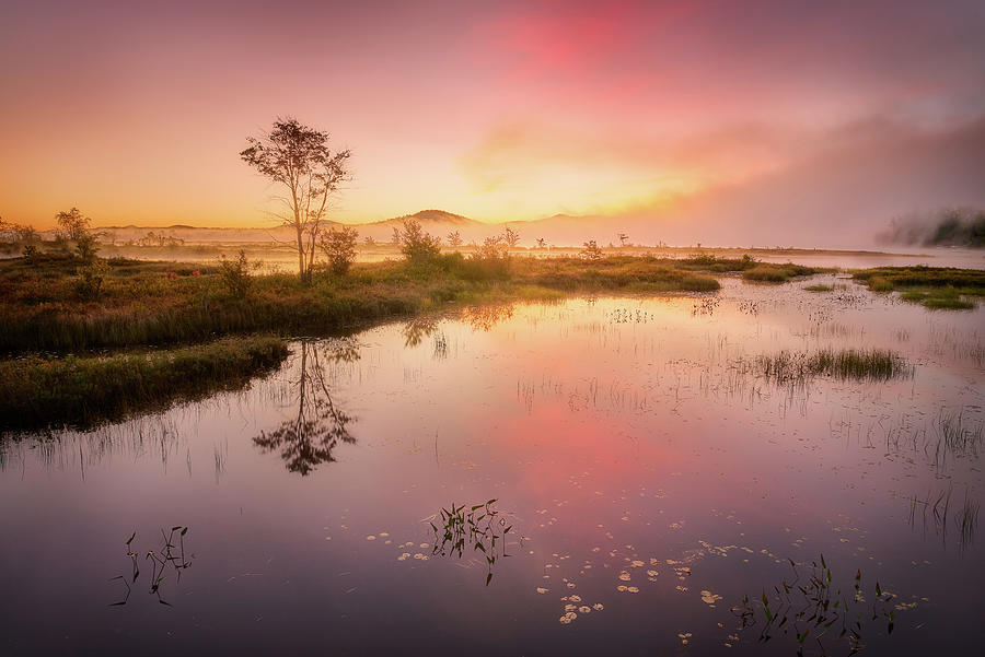 Morning at Lake Photograph by Henry w Liu