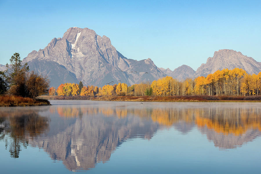Morning at Oxbow Bend Photograph by Robert Carter