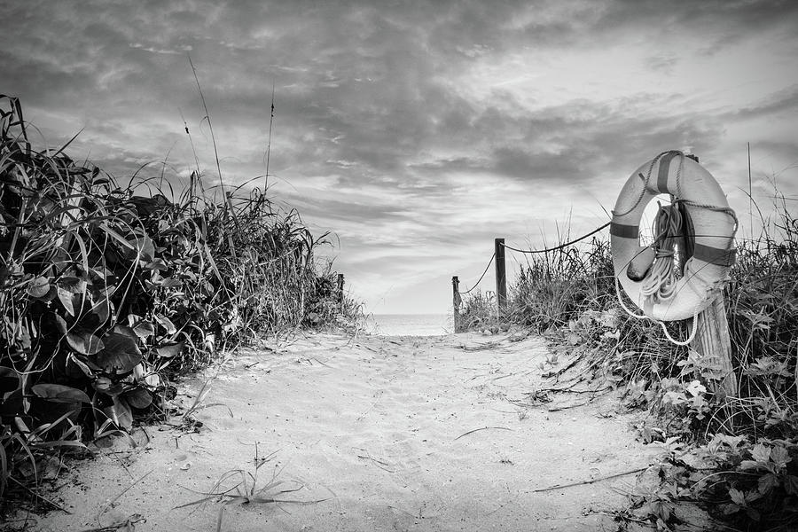 Morning at the Beach Dunes Black and White Photograph by Debra and Dave Vanderlaan