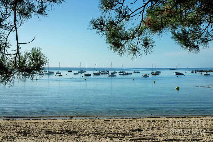 Morning at the beach, Morbihan, France Photograph by Delphimages Photo Creations