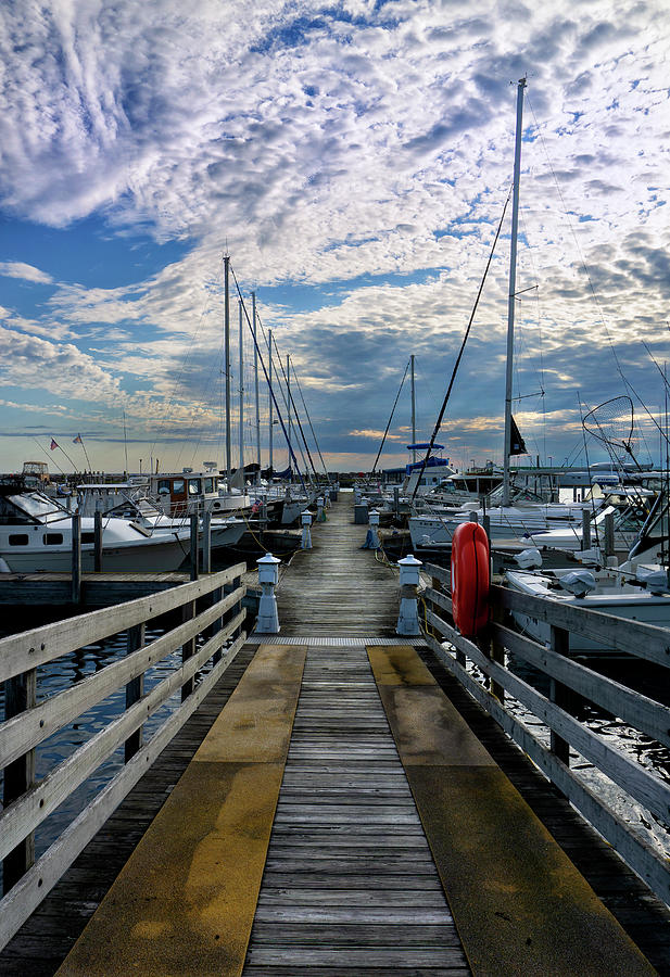 Morning At the Marina Photograph by Terry Doyle