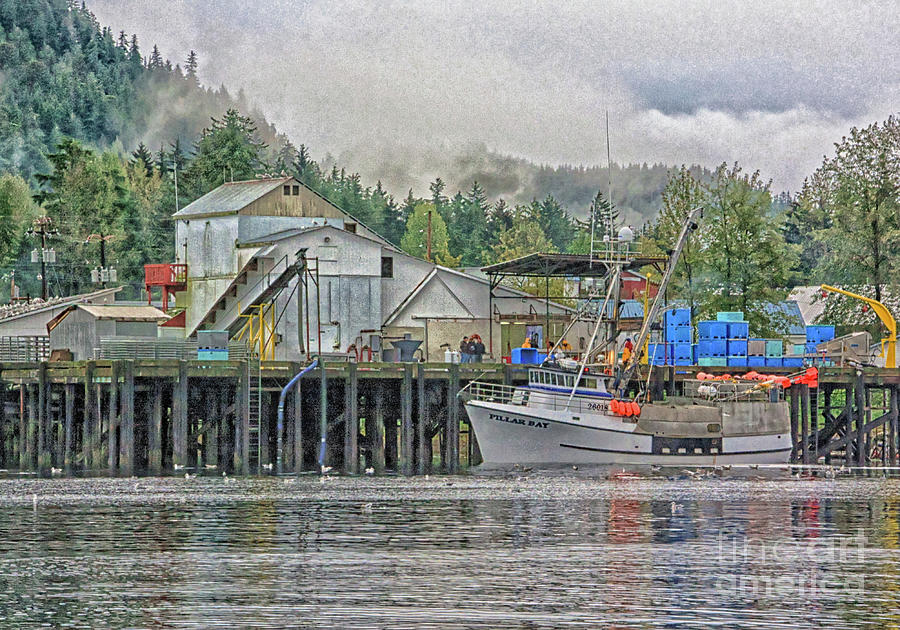 Morning at The Wharf Photograph by Jo Ann Gregg