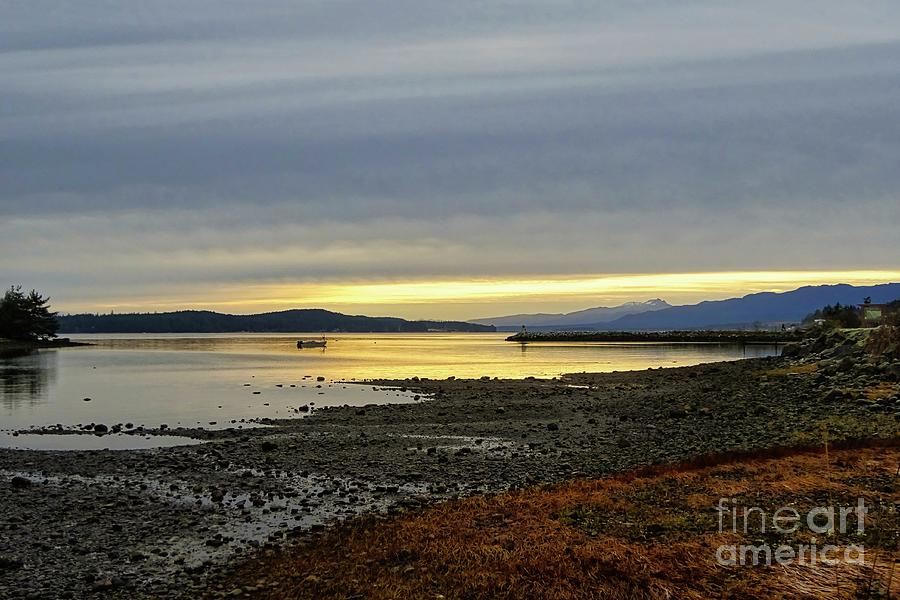 Morning At Union Bay 1 Photograph by Chuck Burdick - Fine Art America