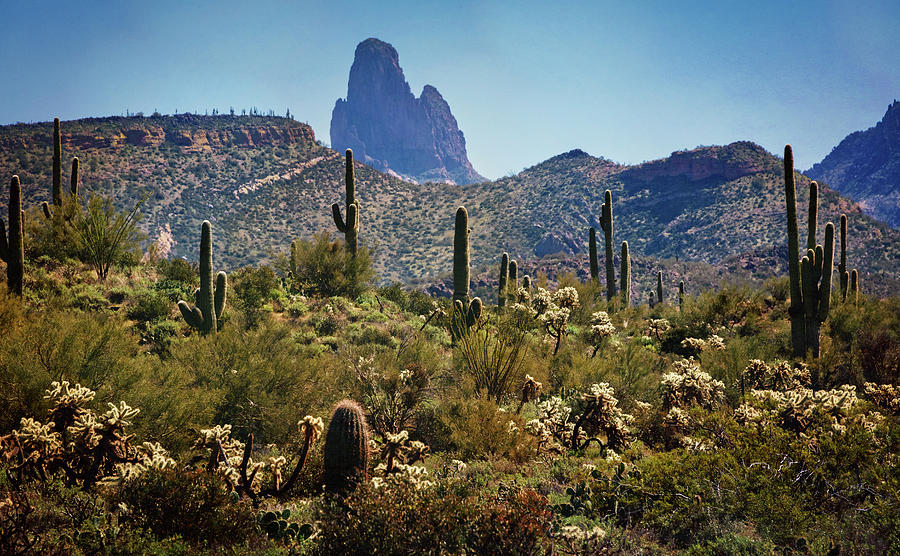 Morning At Weaver's Needle Photograph by Saija Lehtonen - Fine Art America