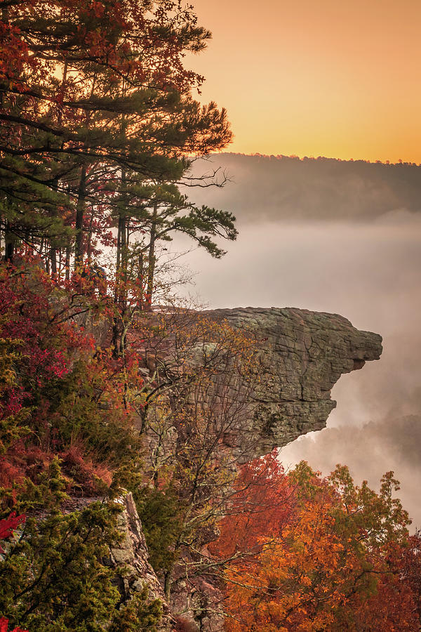 Morning Autumn Hike To Hawksbill Crag - Arkansas Ozark Mountains Photograph by Gregory Ballos