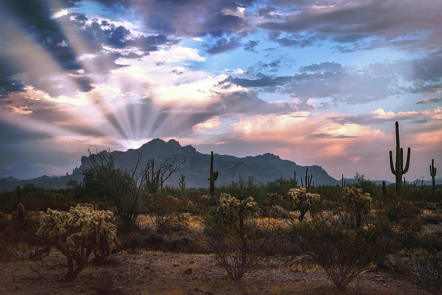 Morning Beckons In The Sonoran  Photograph by Saija Lehtonen