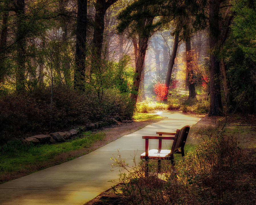 Morning Bench Photograph by James Barber