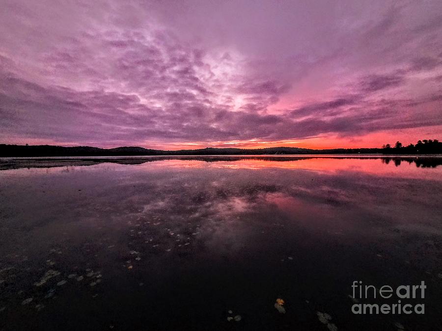 Morning Bliss - Webster Lake, New Hampshire Photograph by Dave Pellegrini
