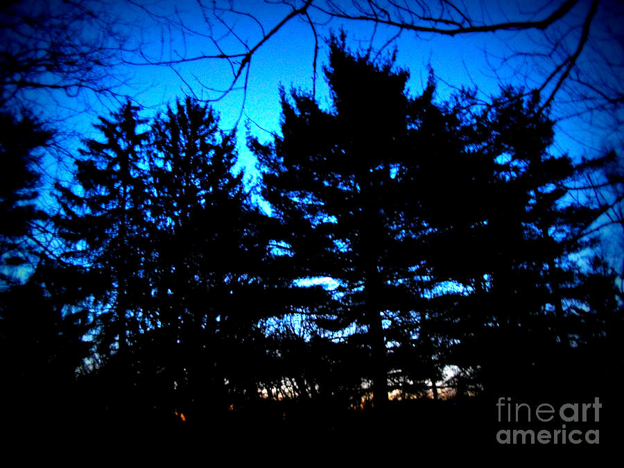Morning Blue Hour Abstract Silhouette Photograph