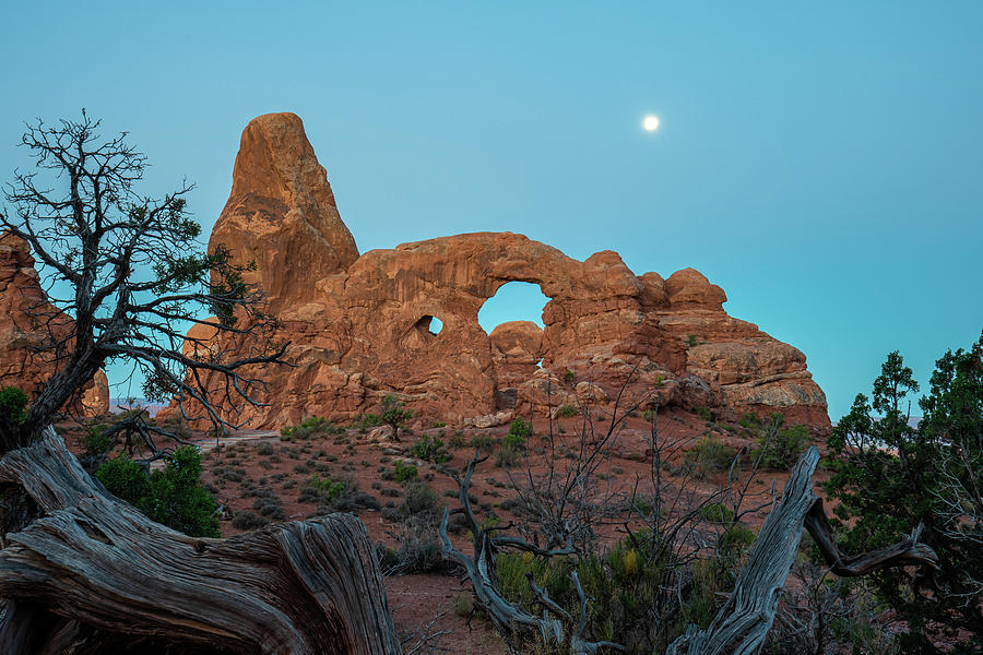 Morning Blue Hour at Turret Arch Photograph by Ron Long Ltd Photography