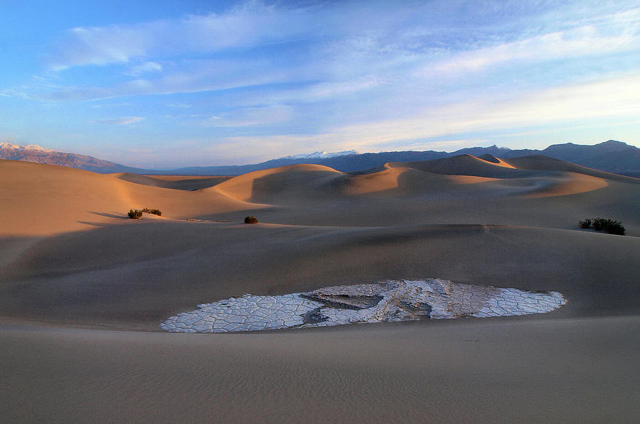Morning Breaks on Mesquite Dunes Photograph by Joe Schofield